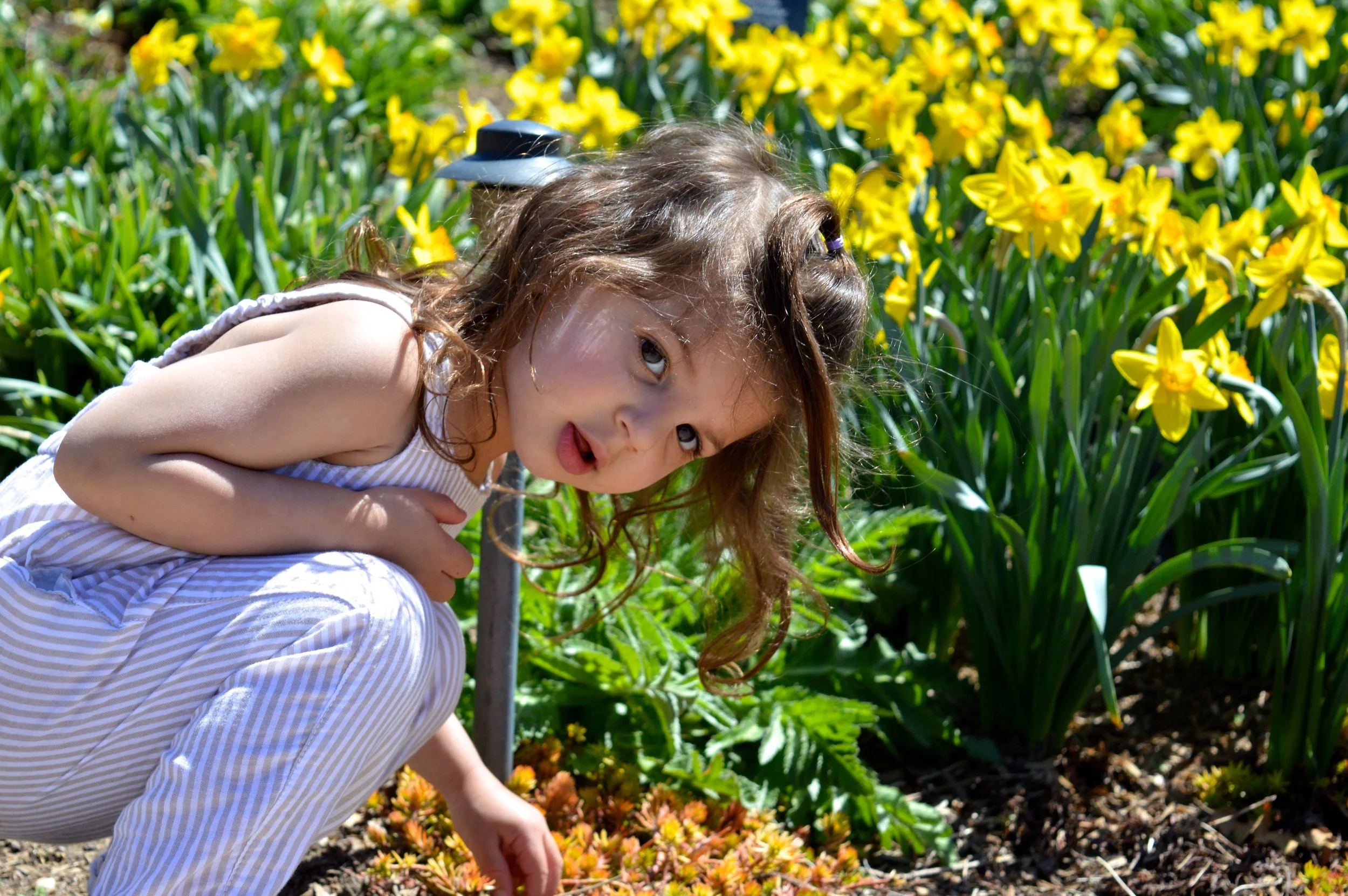 denver-botanic-gardens-April-13-10.jpg