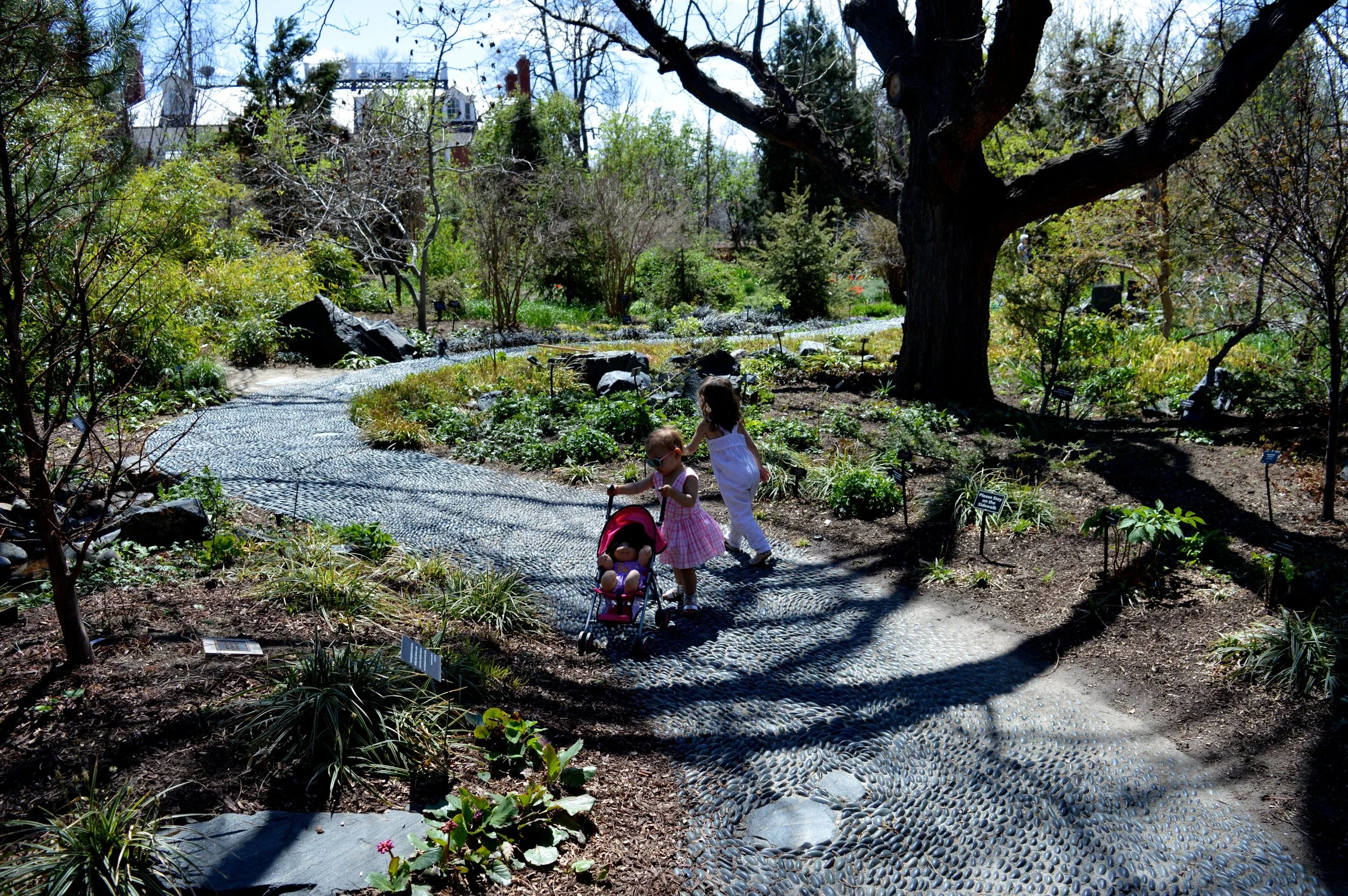 denver-botanic-gardens-April-13-13-1.jpg