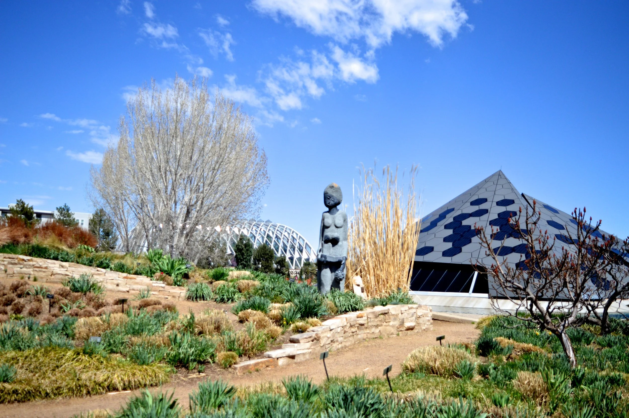 denver-botanic-gardens-April-13-23.jpg