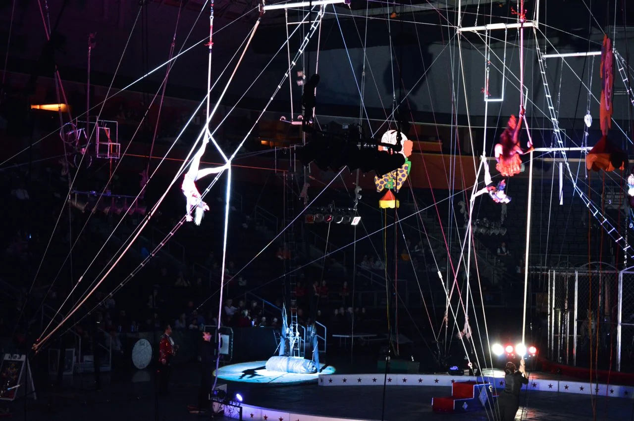 circus-5.jpg