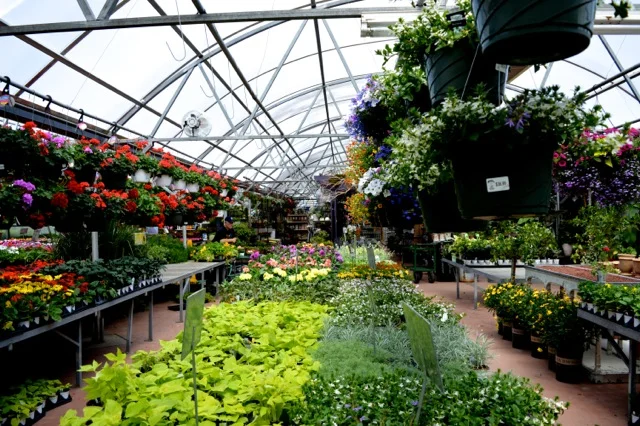 nicks-garden-28.jpg