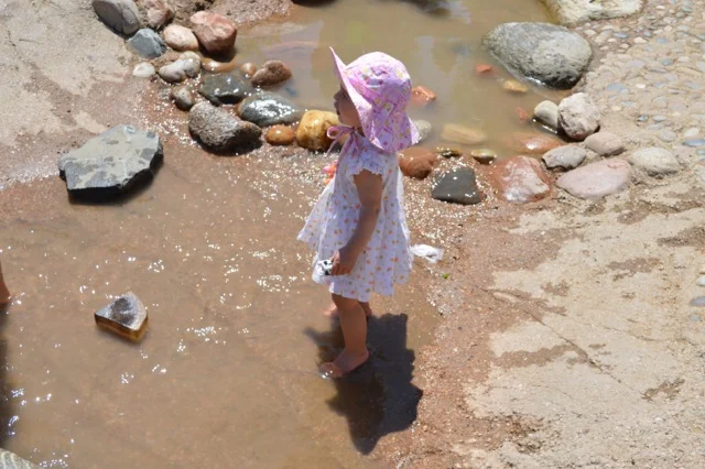 denver-botanical-gardens-childrens-area-1.jpg