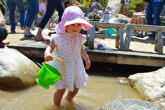 denver-botanical-gardens-childrens-area-5.jpg