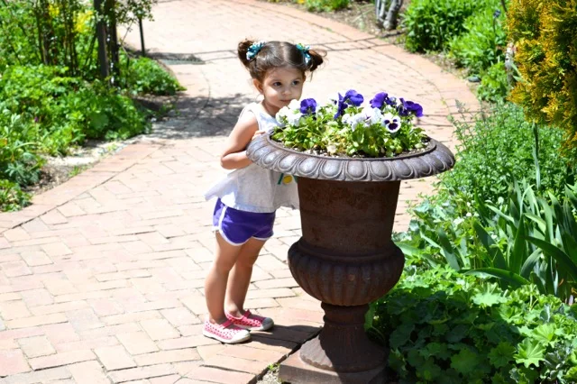 denver-botanical-gardens-childrens-area-24.jpg