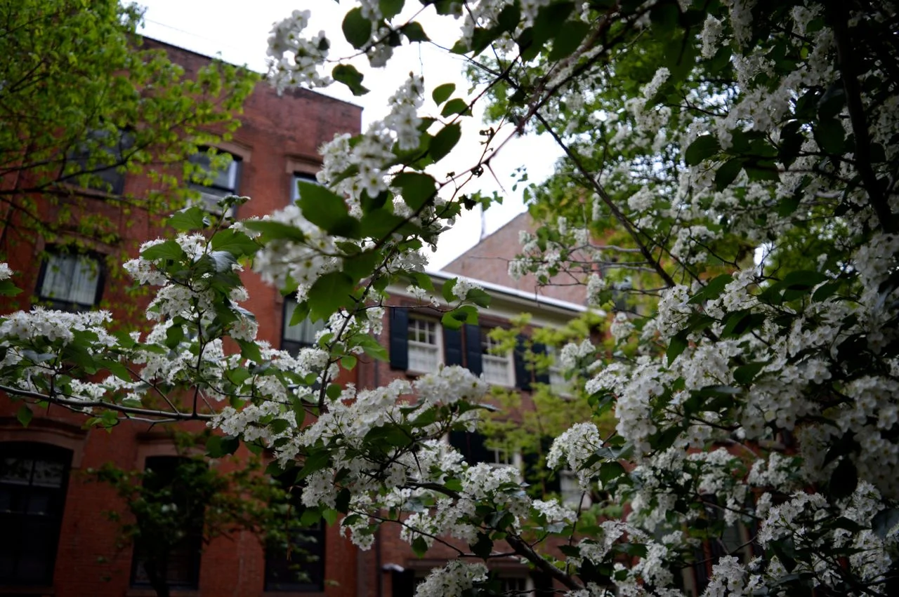 New-York-Spring-2016.7.jpg