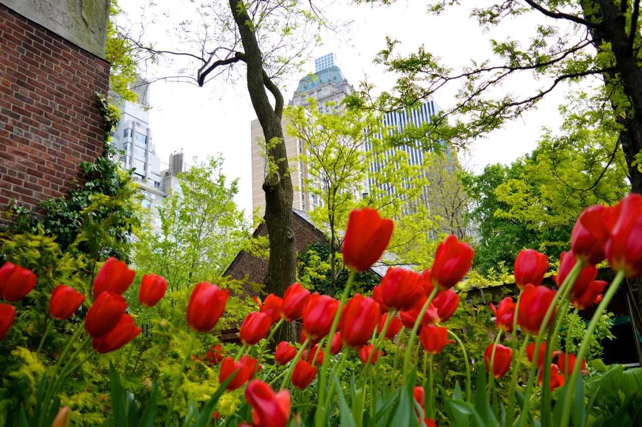 New-York-Spring-2016.24.jpg