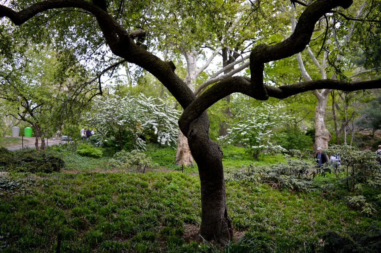 New-York-Spring-2016.25.jpg
