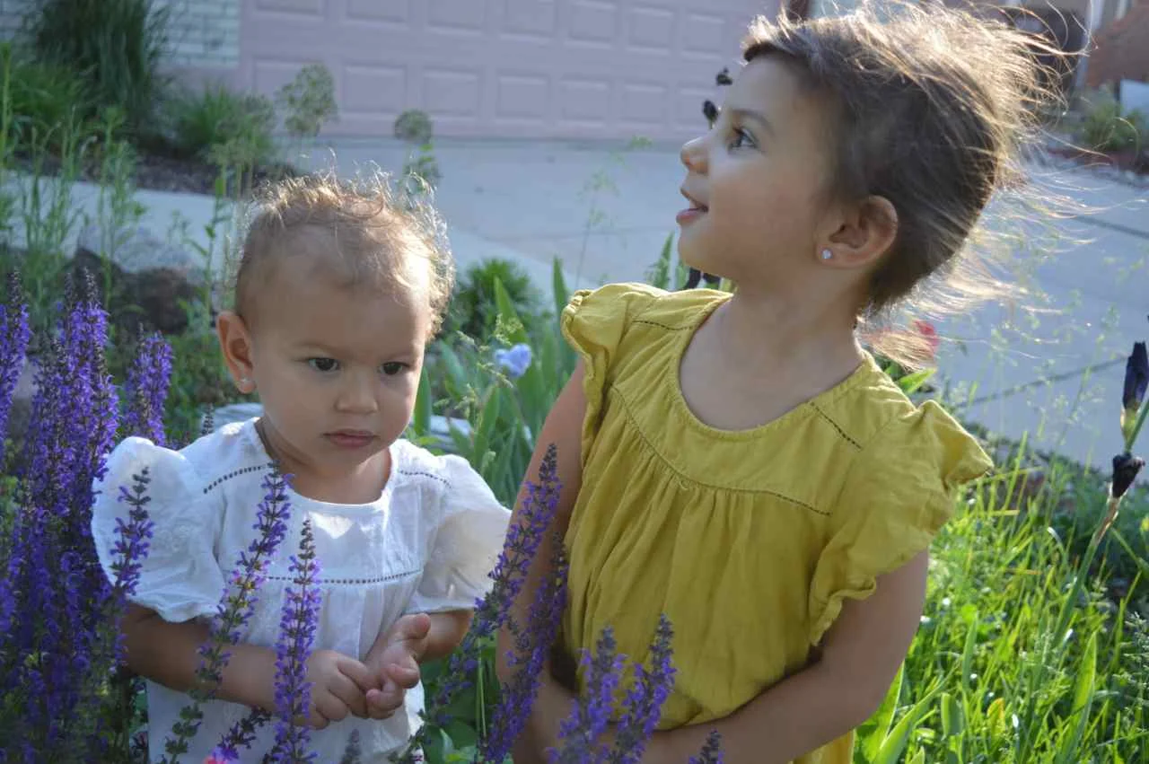back-yard-portraits-23.jpg