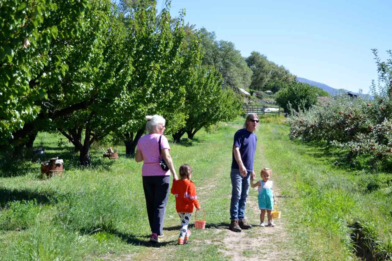delicious-orchards-apple-picking-paonia-colorado-15.jpg