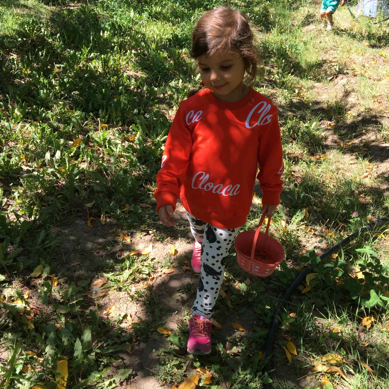delicious-orchards-apple-picking-paonia-colorado-23.jpg