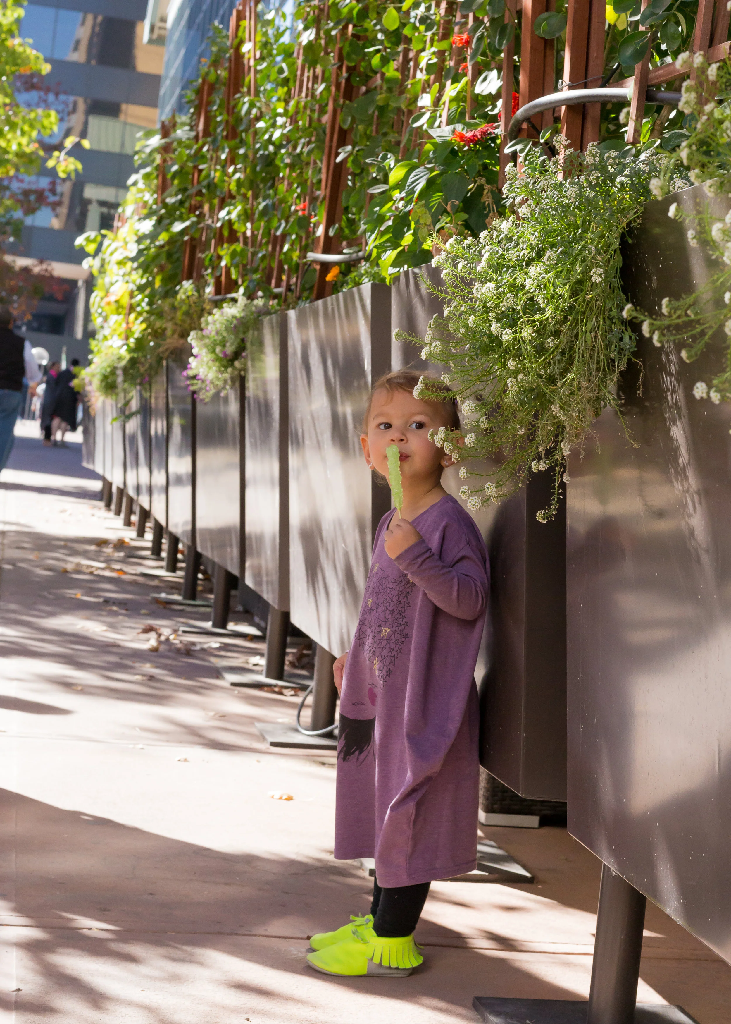 Haleeb_Honey-Nov-Streetside-11.jpg