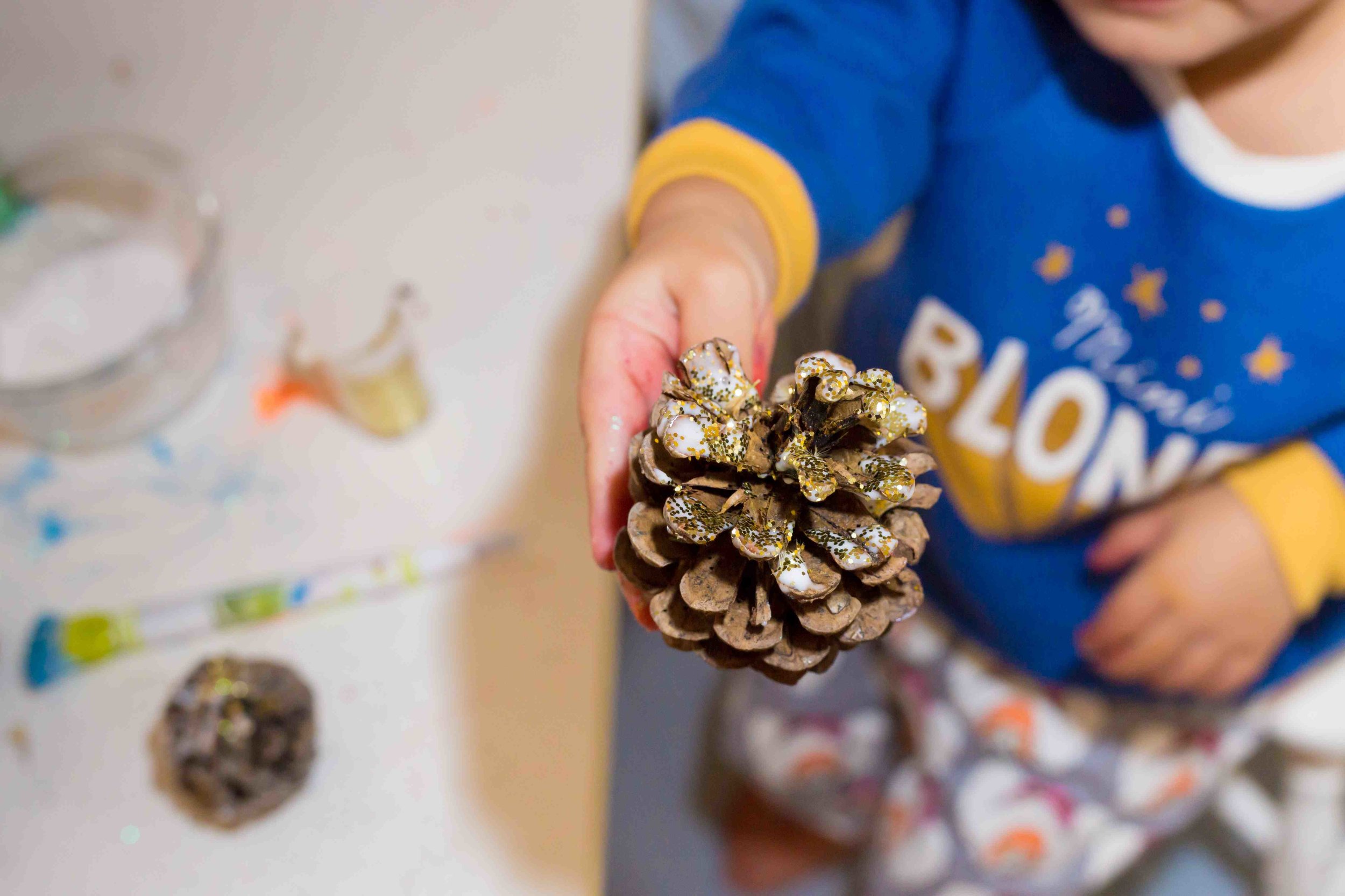glitter-pinecones-11.jpg