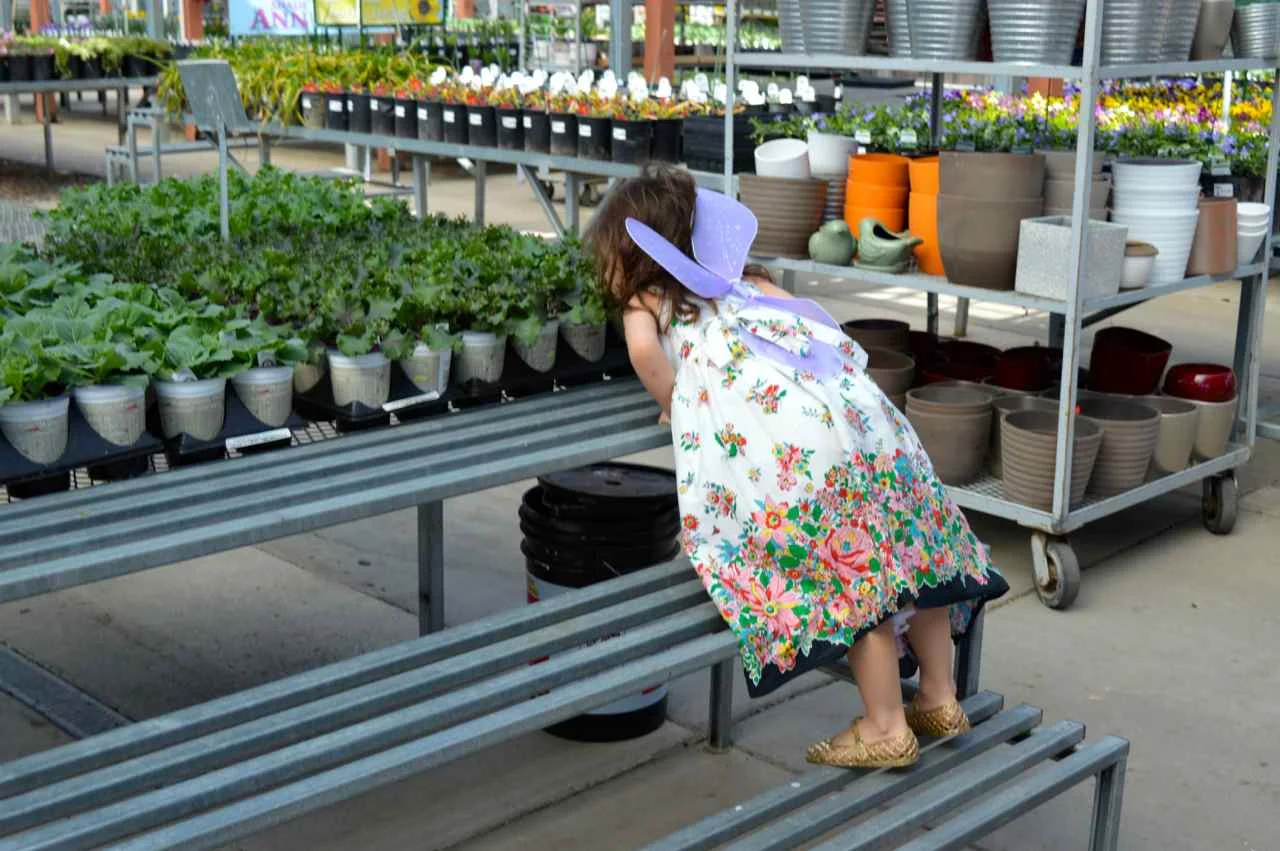 Nicks-Garden-Center-Aurora-Spring-2.jpg