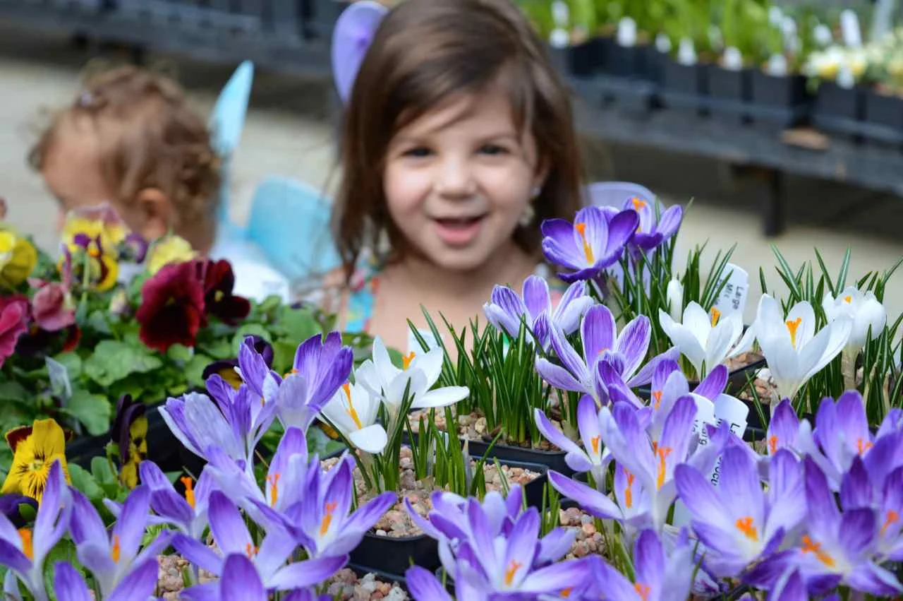 Nicks-Garden-Center-Aurora-Spring-5.jpg