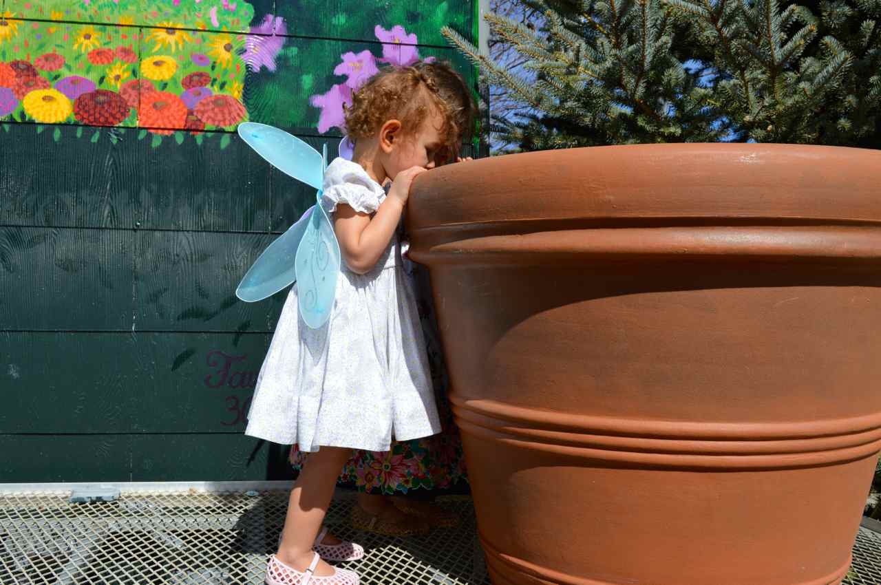 Nicks-Garden-Center-Aurora-Spring-19.jpg
