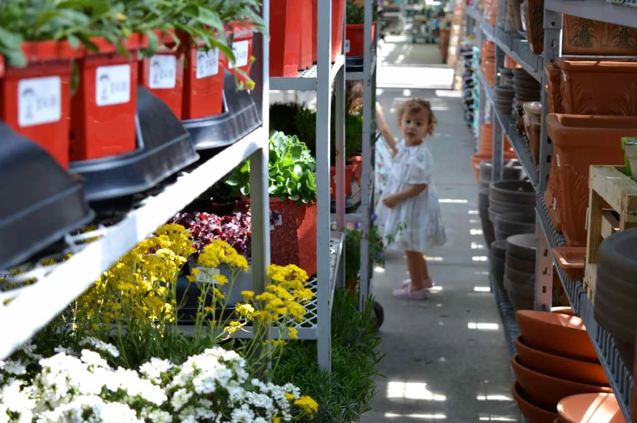Nicks-Garden-Center-Aurora-Spring-33.jpg