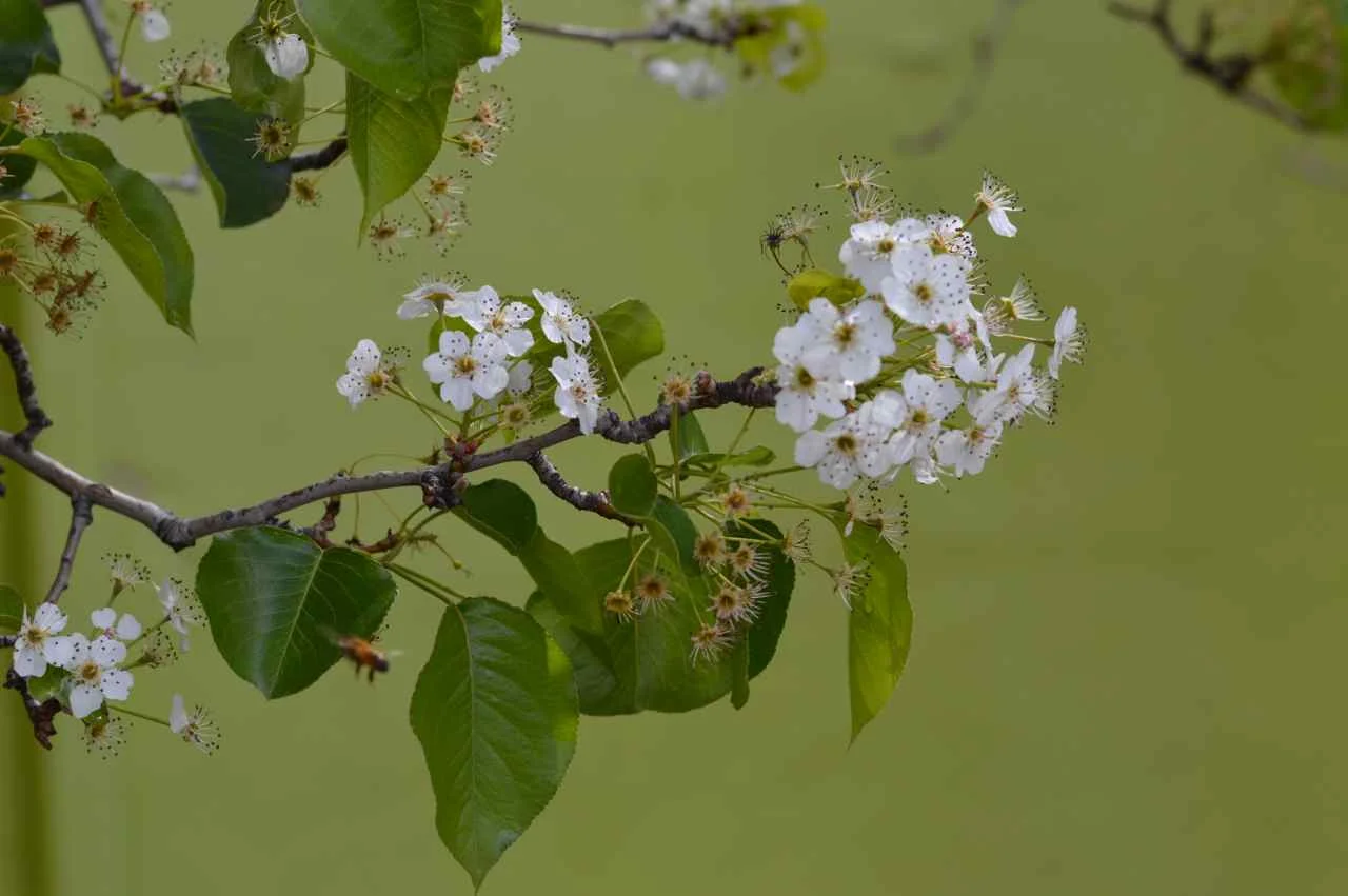 earth-day-2.jpg