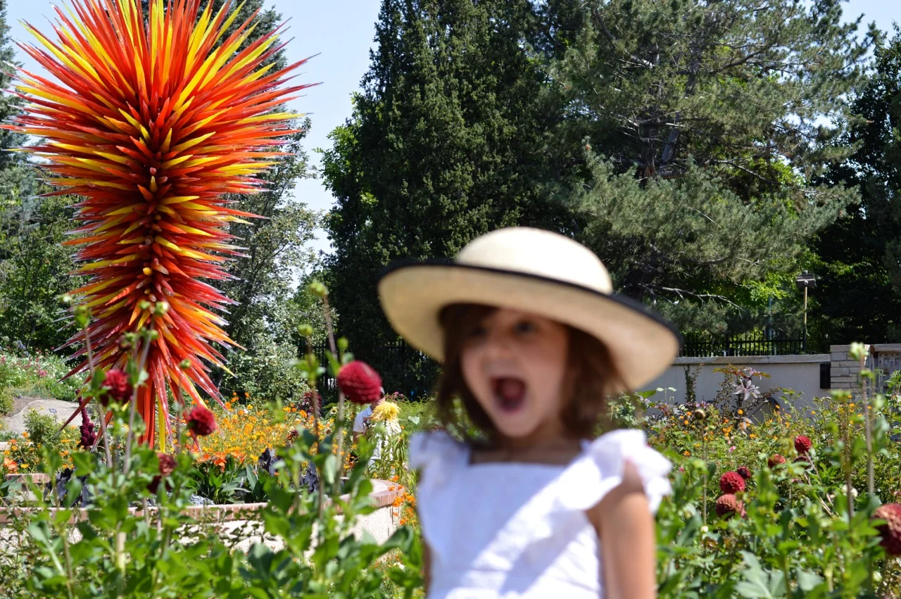 Denver-Botanic-Gardens-in-Summer-6.jpg