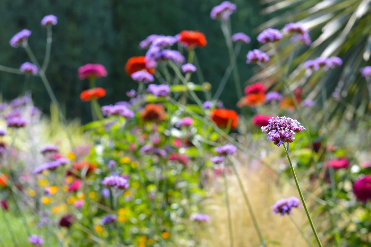 Denver-Botanic-Gardens-in-Summer-8.jpg