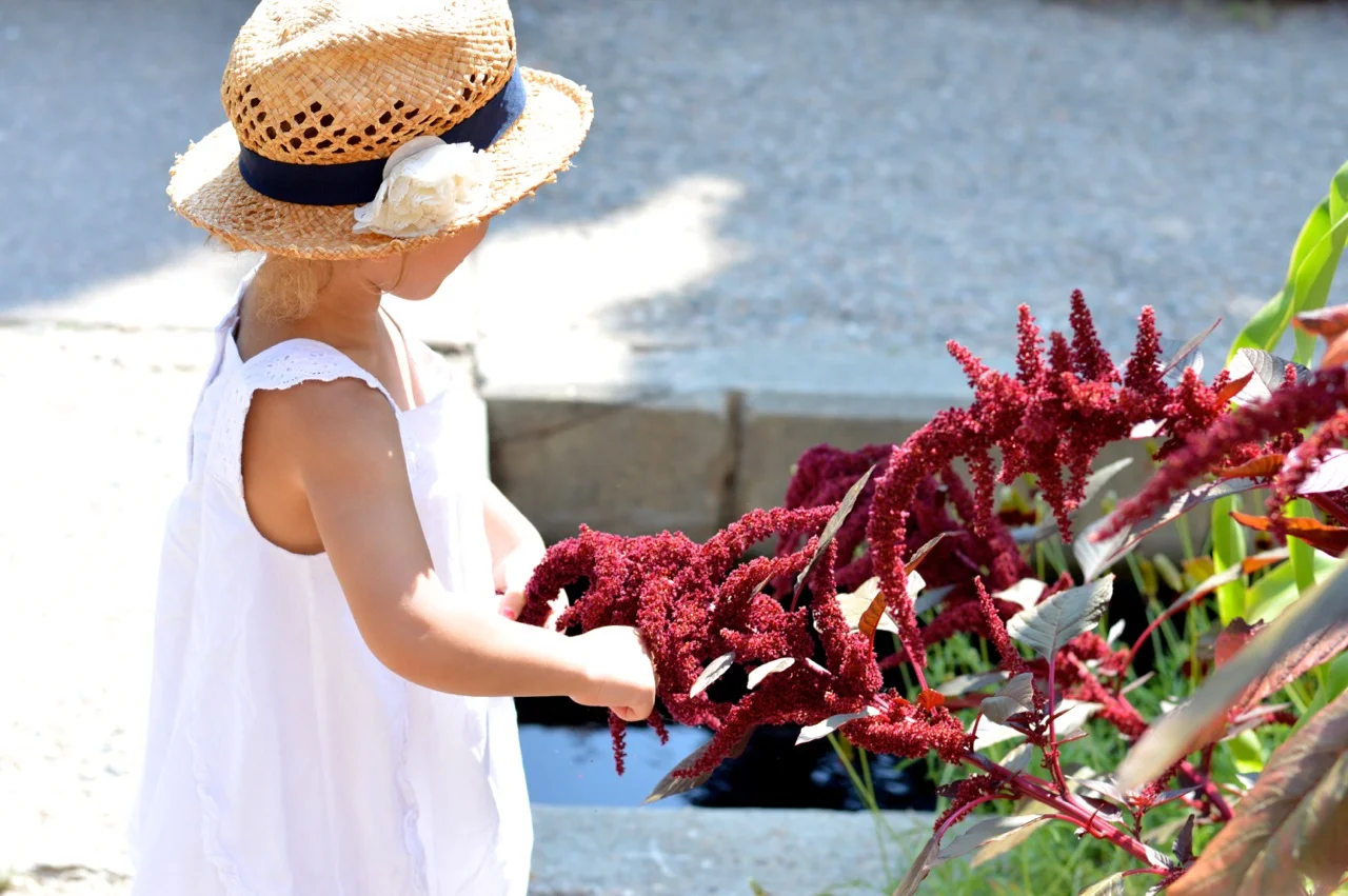 Denver-Botanic-Gardens-in-Summer-39.jpg