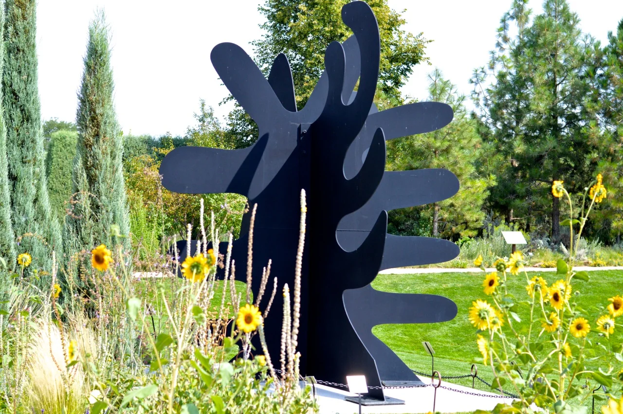 Denver-Botanic-Gardens-in-Summer-44.jpg