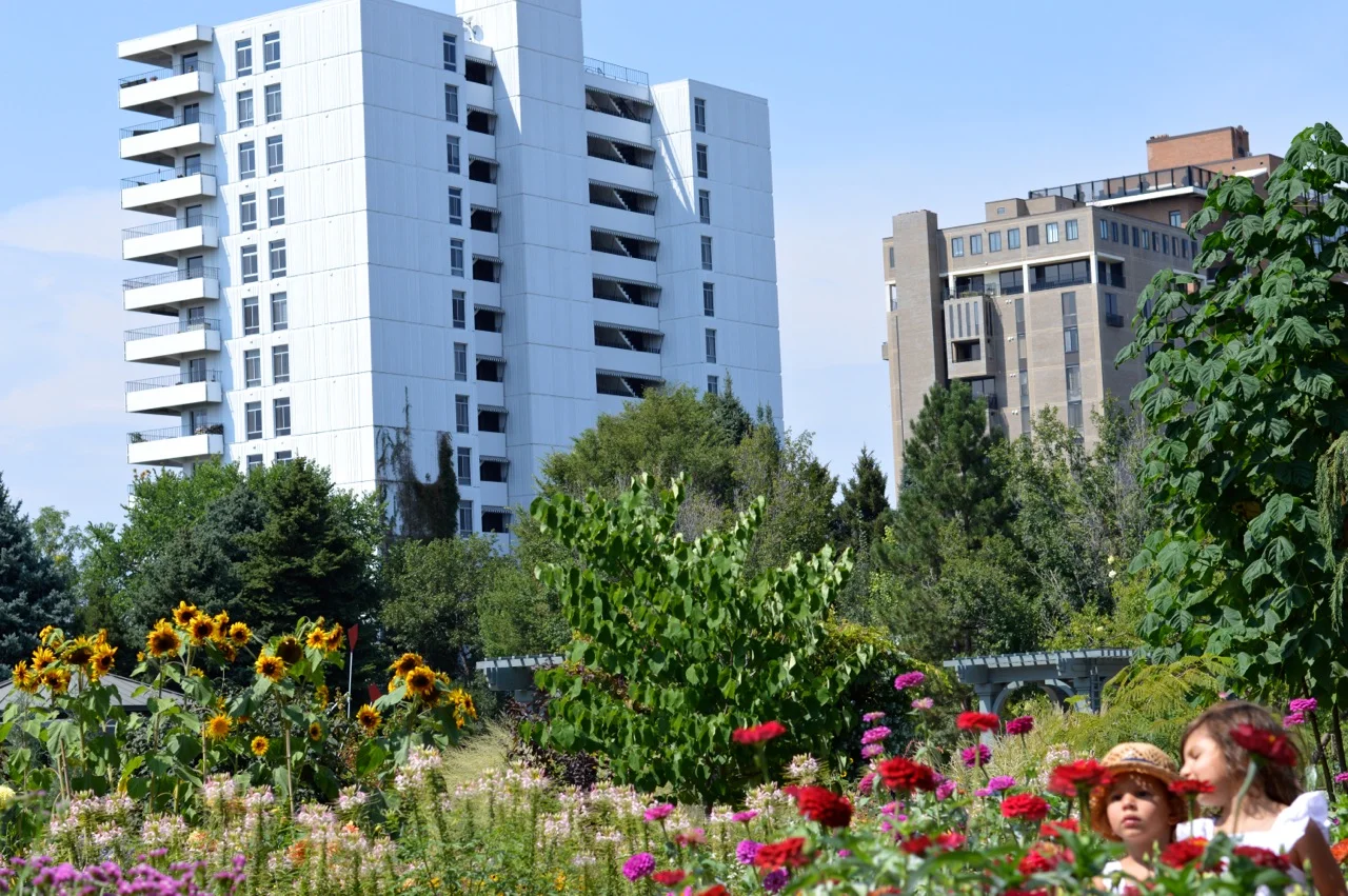Denver-Botanic-Gardens-in-Summer-46.jpg