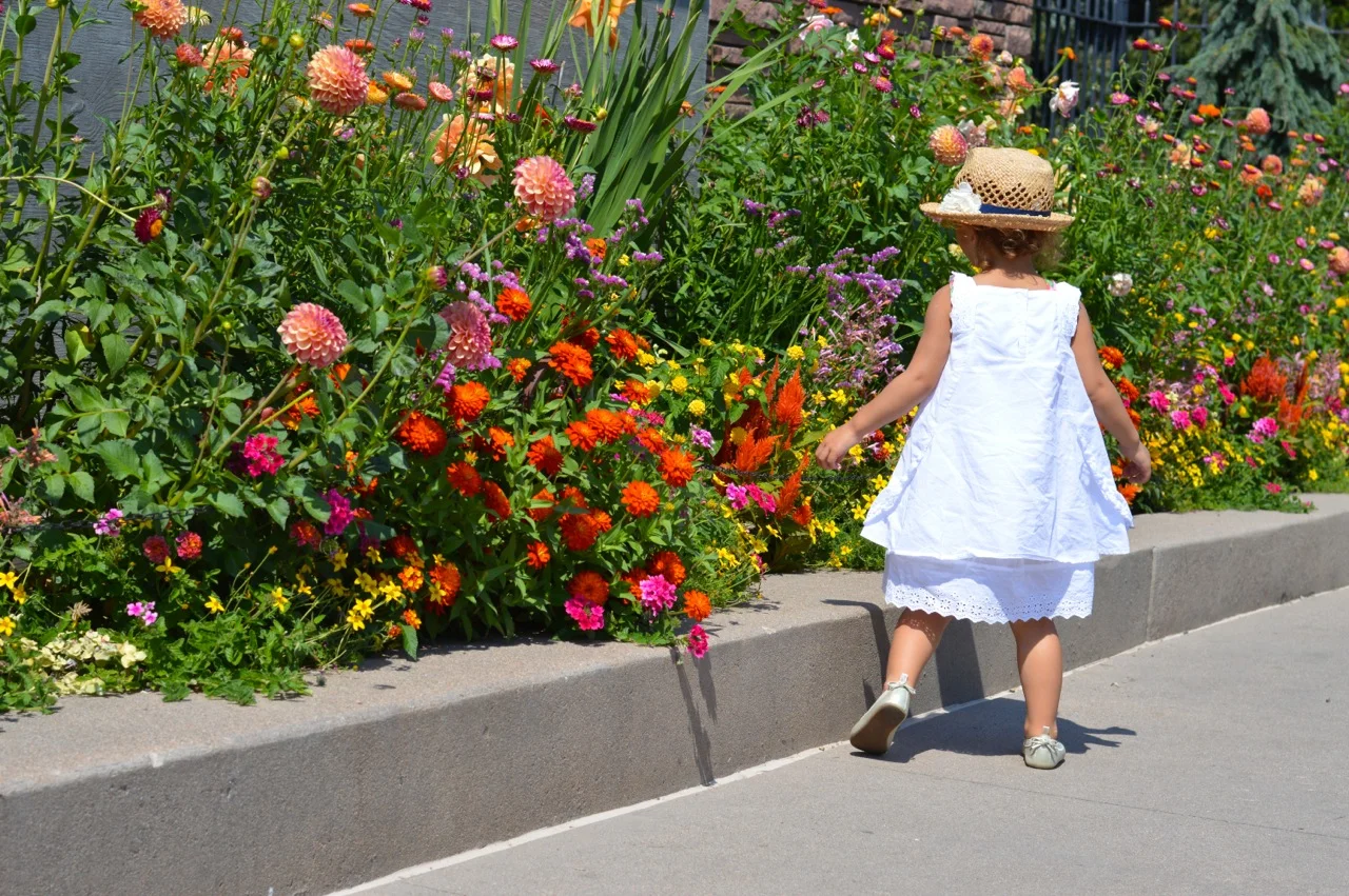 Denver-Botanic-Gardens-in-Summer-Cover-2.jpg
