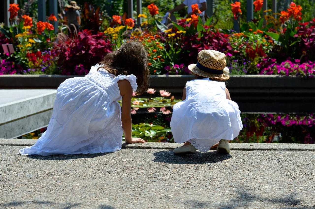 Denver-Botanic-Gardens-in-Summer-Cover-3.jpg