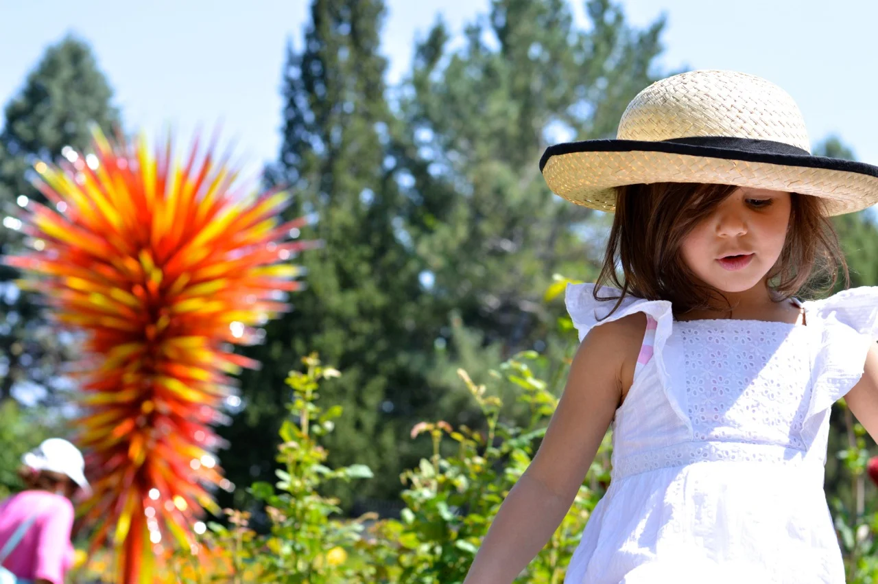 Denver-Botanic-Gardens-in-Summer-Cover.jpg
