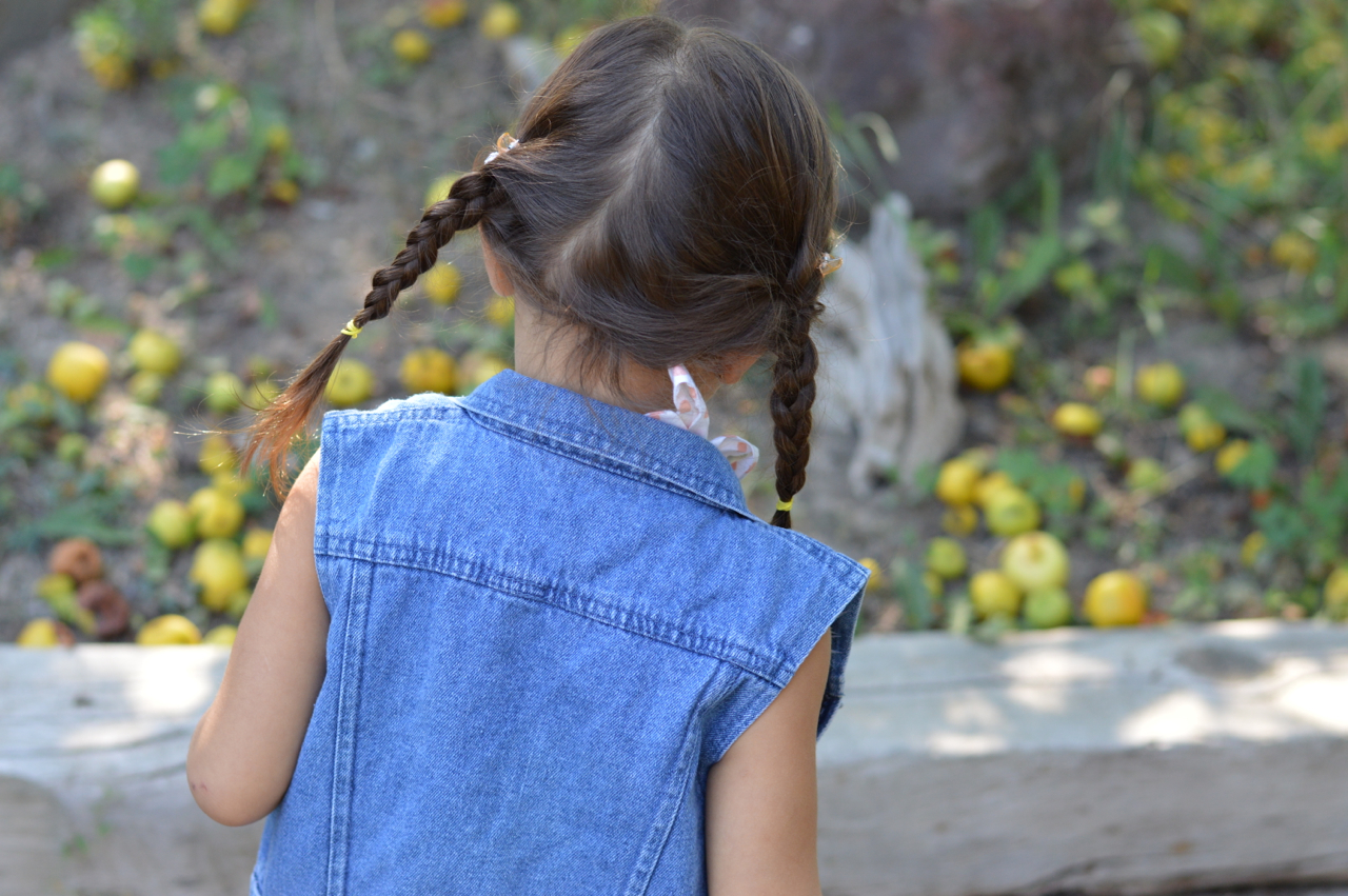 Apple-Picking-in-Colorado-1.jpg