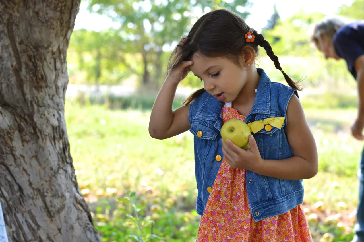 Apple-Picking-in-Colorado-2.jpg