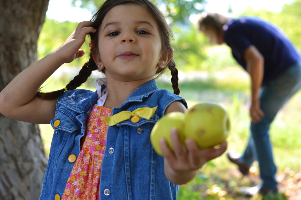 Apple-Picking-in-Colorado-3.jpg