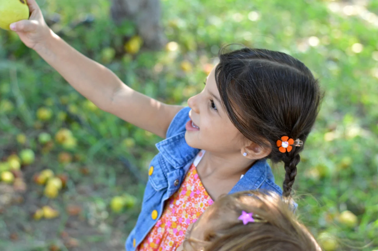 Apple-Picking-in-Colorado-10.jpg