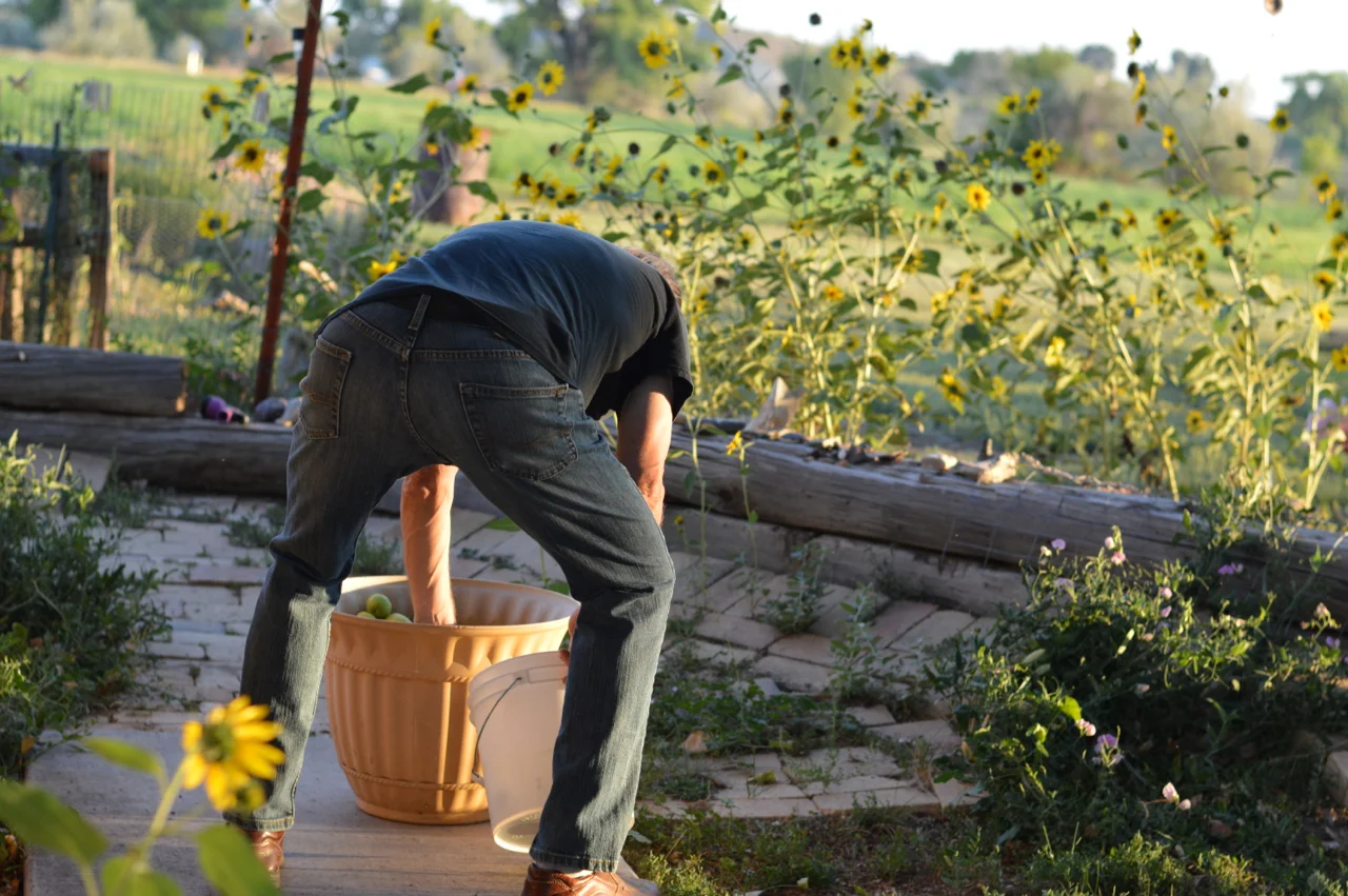 Apple-Picking-in-Colorado-15.jpg