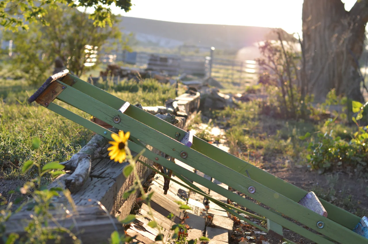 Apple-Picking-in-Colorado-17.jpg