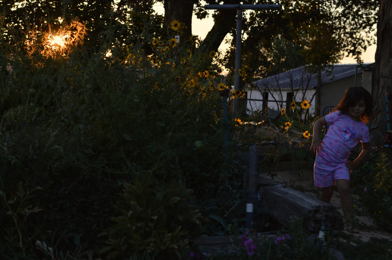 Apple-Picking-in-Colorado-27.jpg