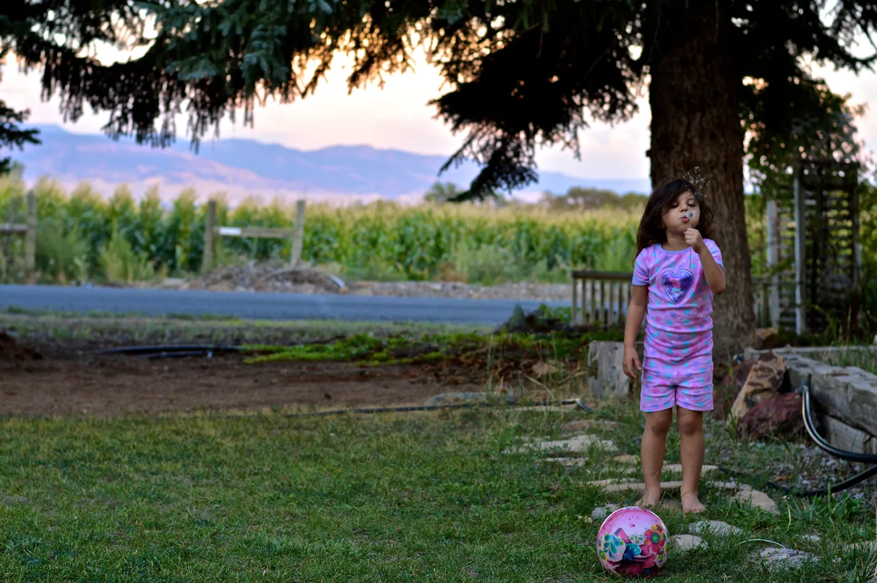 Apple-Picking-in-Colorado-29.jpg