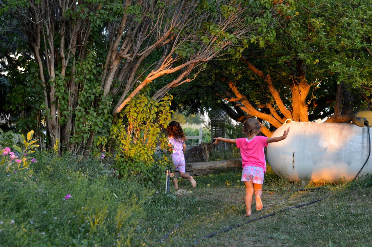 Apple-Picking-in-Colorado-35.jpg