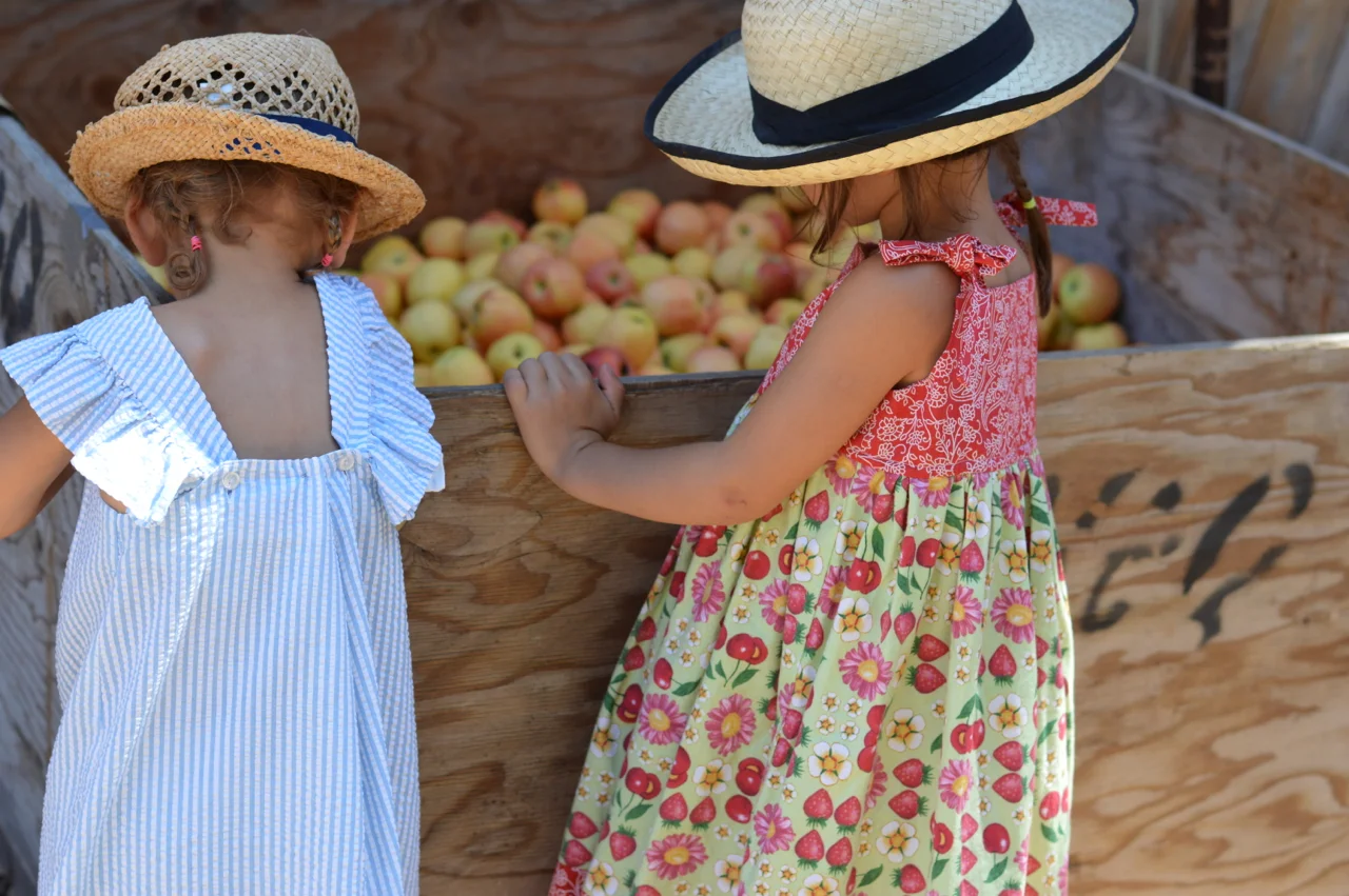 Fruit-Picking-at-Delicious-Orchards-8.jpg