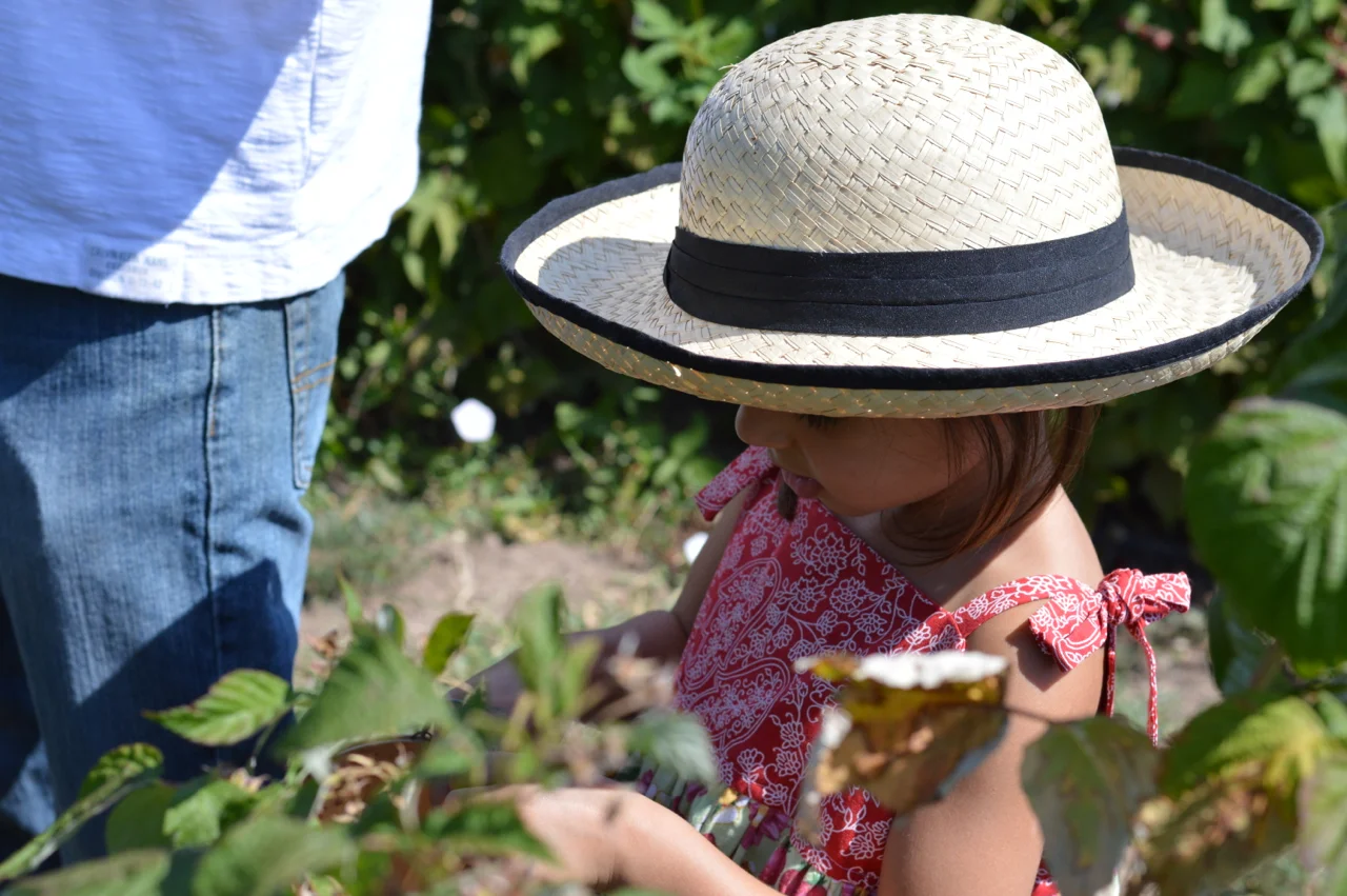 Fruit-Picking-at-Delicious-Orchards-11.jpg