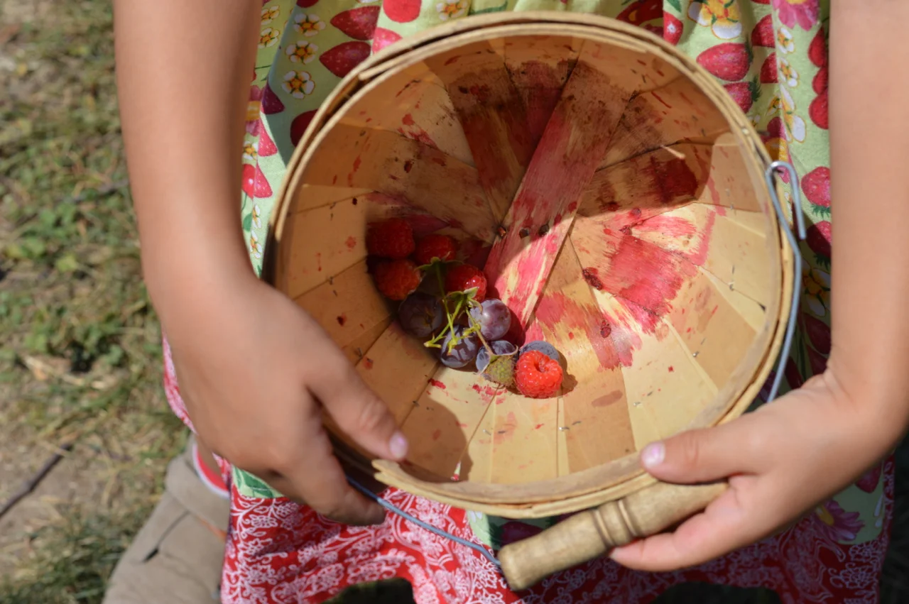 Fruit-Picking-at-Delicious-Orchards-18.jpg
