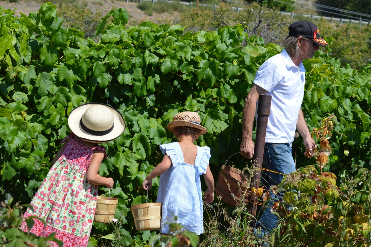 Fruit-Picking-at-Delicious-Orchards-23.jpg