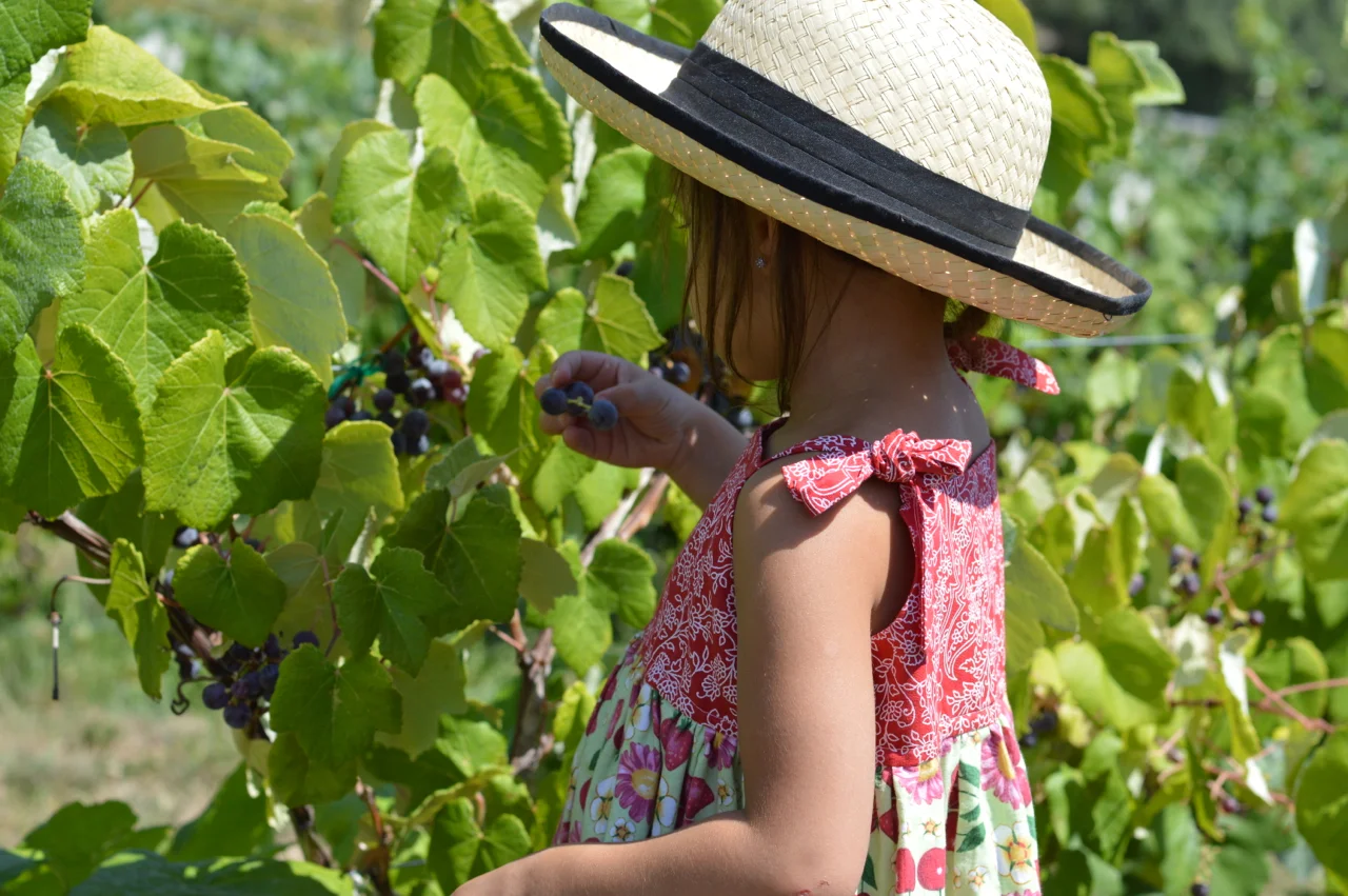 Fruit-Picking-at-Delicious-Orchards-25.jpg