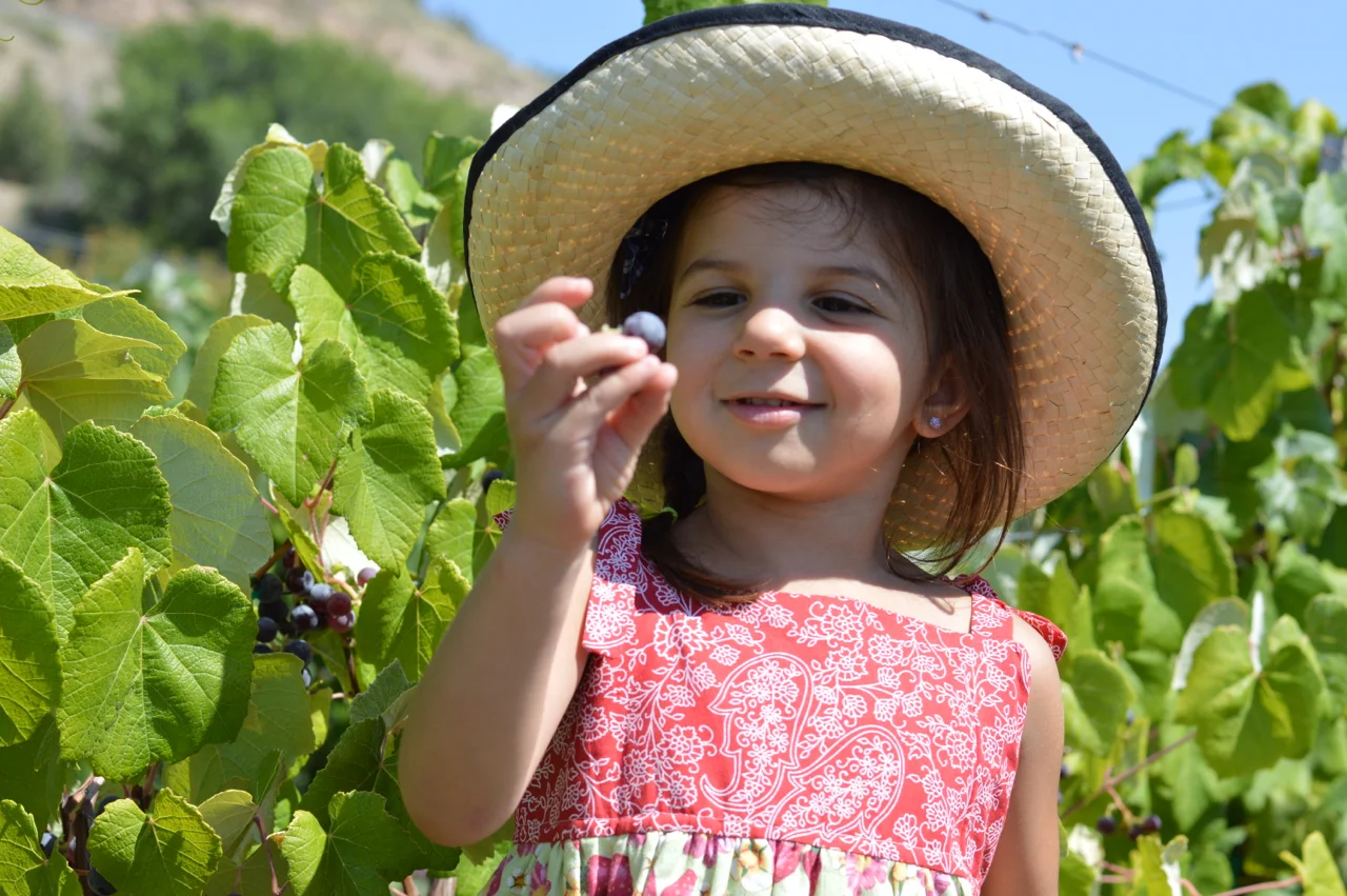 Fruit-Picking-at-Delicious-Orchards-26.jpg