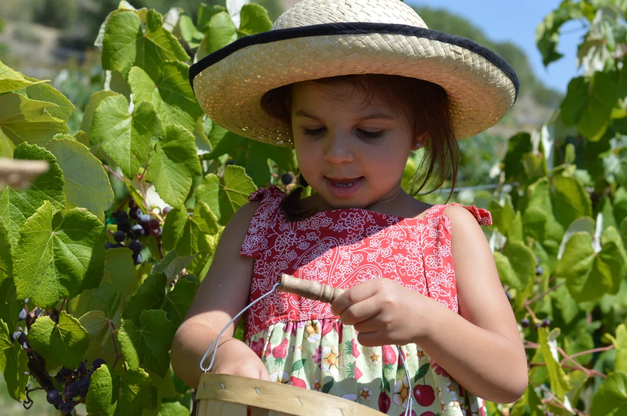 Fruit-Picking-at-Delicious-Orchards-27.jpg