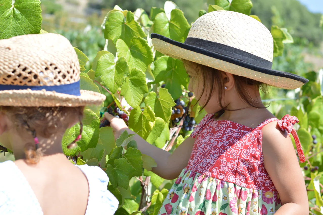 Fruit-Picking-at-Delicious-Orchards-28.jpg
