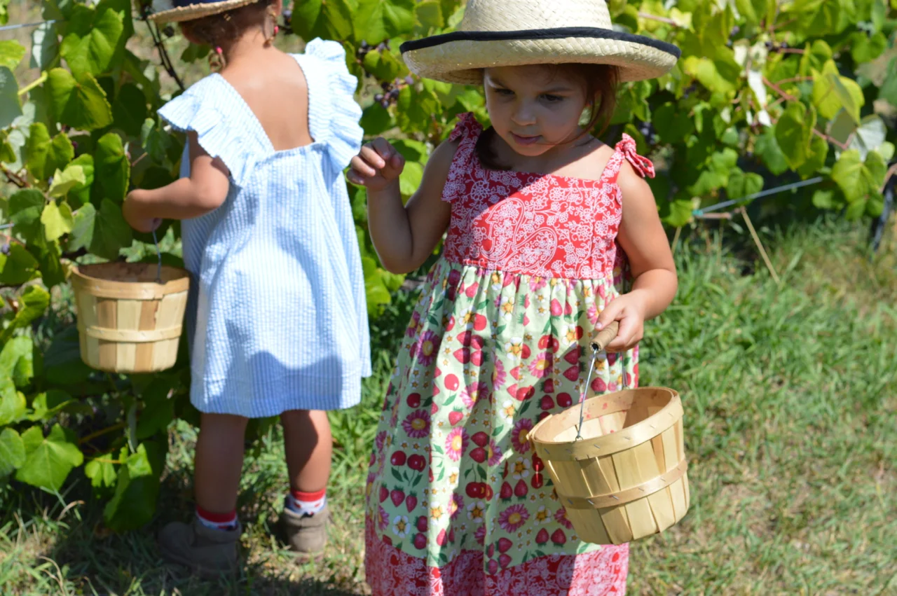 Fruit-Picking-at-Delicious-Orchards-29.jpg