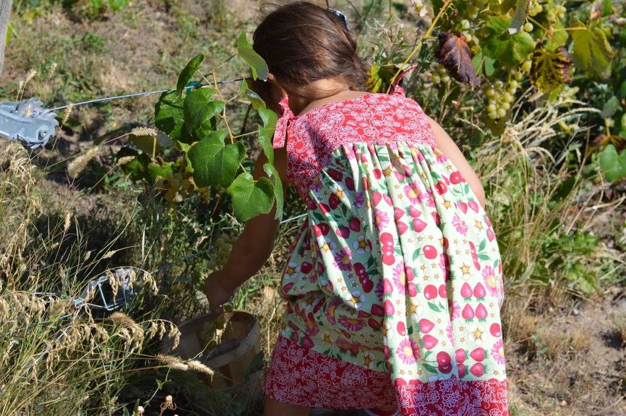 Fruit-Picking-at-Delicious-Orchards-31.jpg