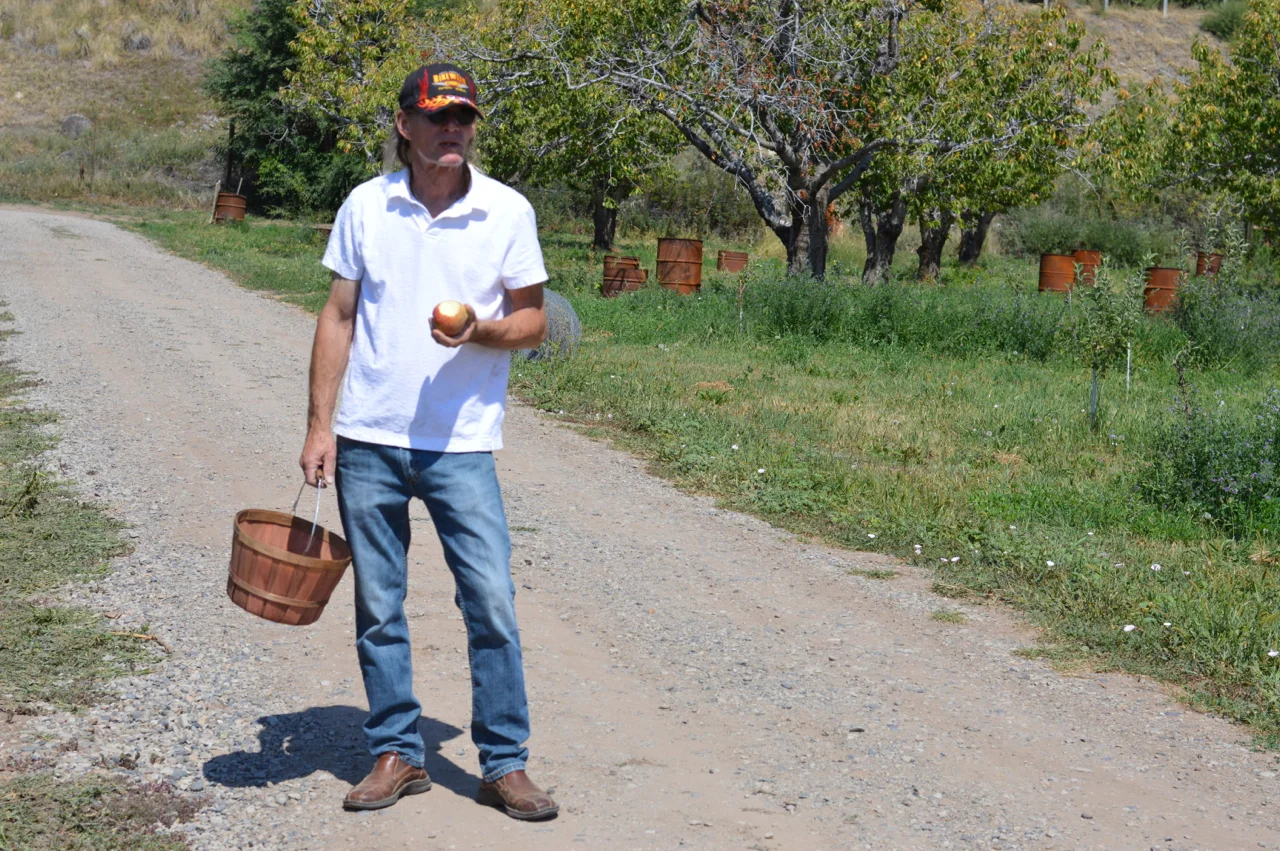 Fruit-Picking-at-Delicious-Orchards-37.jpg