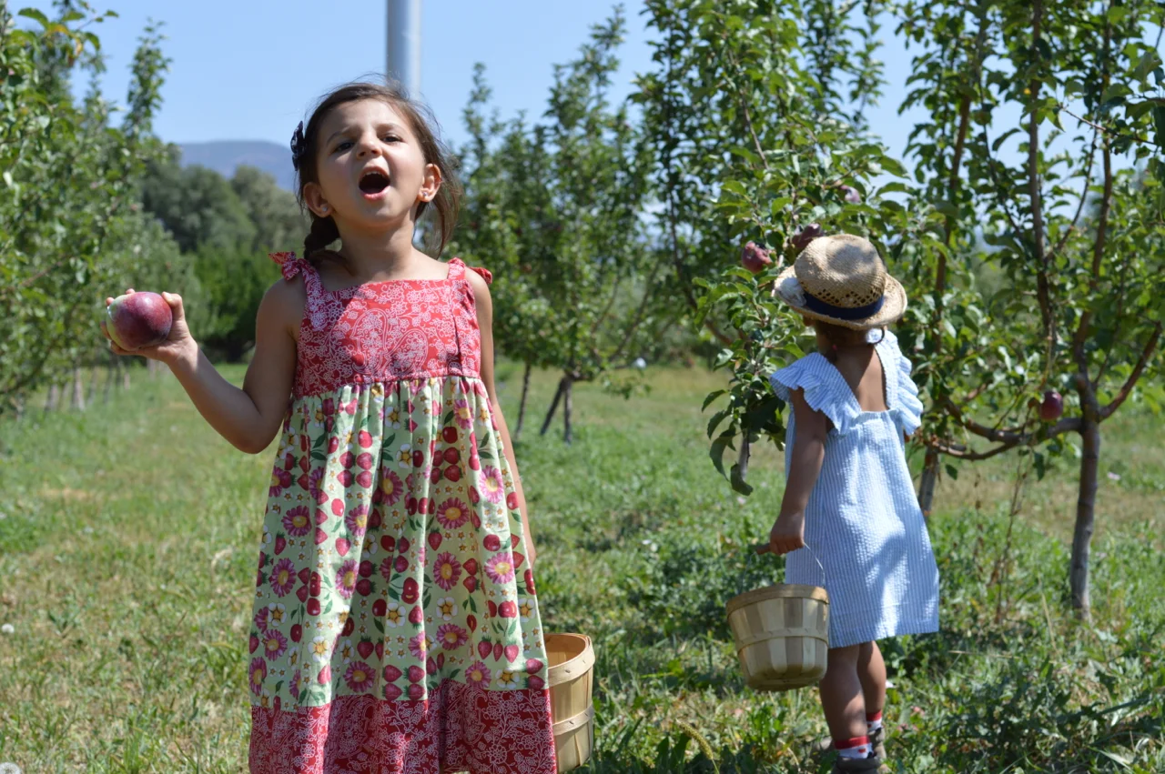 Fruit-Picking-at-Delicious-Orchards-39.jpg